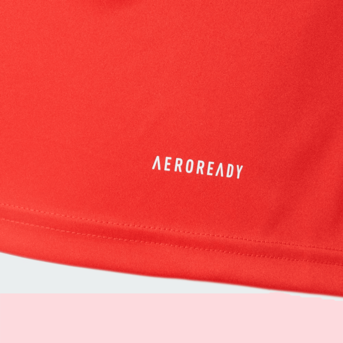 Internacional 2024/25 Training Jersey - Fan Version - Image 3