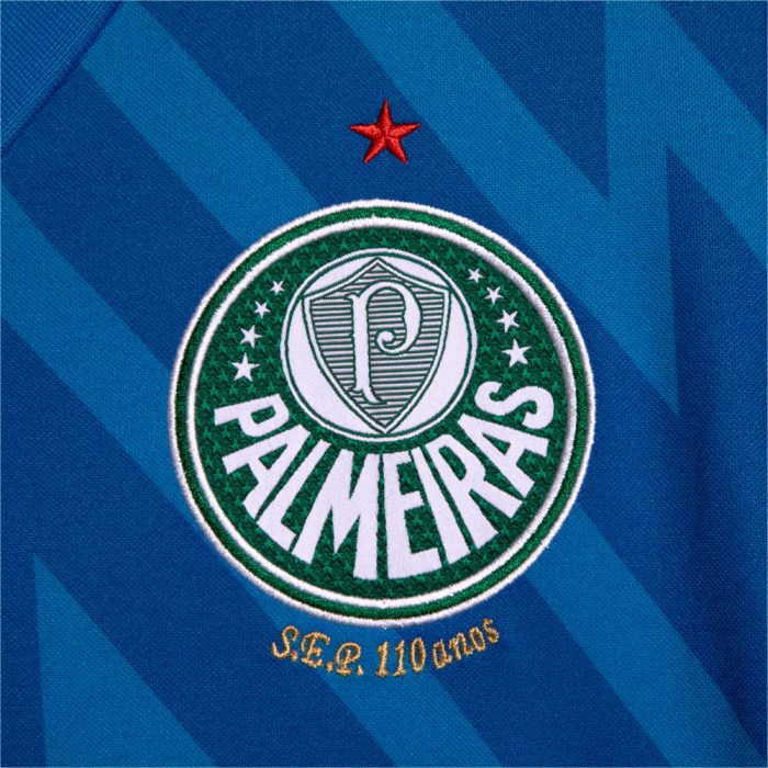Palmeiras 2024/25 Goalkeeper Jersey - Women's - Image 6