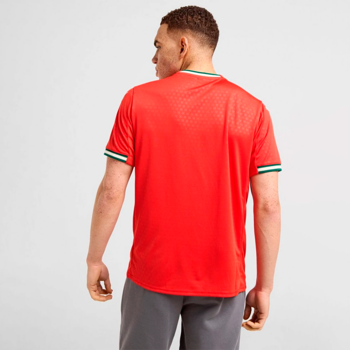 Portugal 2025/26 Home Jersey - Fan Version - Image 2