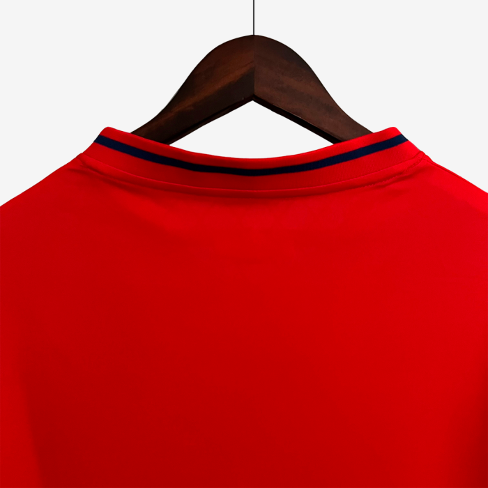 Spain 2010 Home Jersey – Retro Version - Image 6