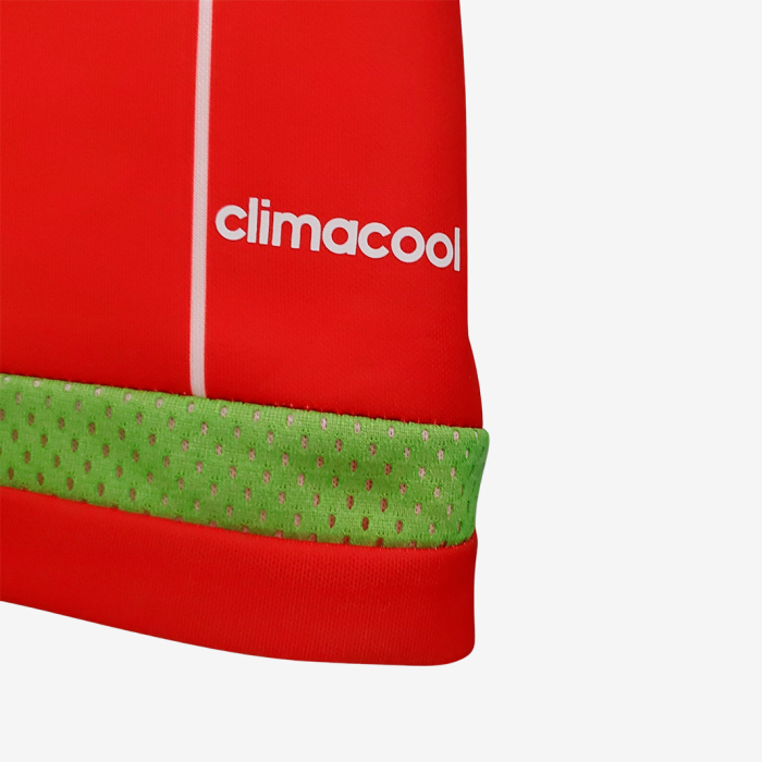 Wales 2015/16 Home Jersey – Retro Version - Image 3