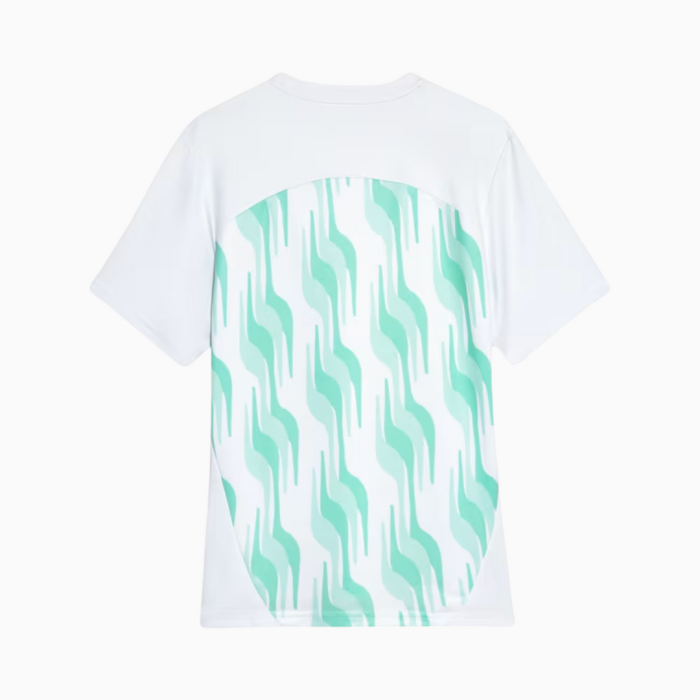 Palmeiras 2025/26 Pre-Match Jersey – Fan Version - Image 2
