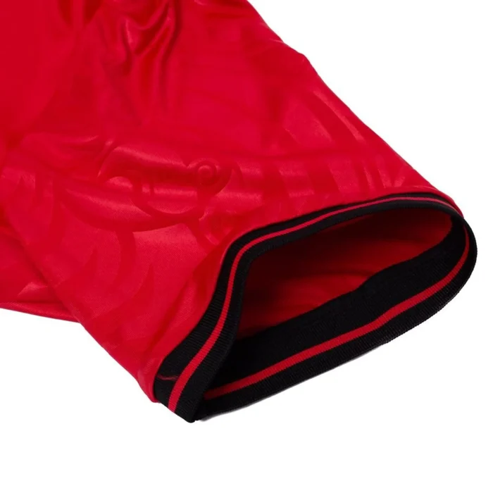 Albania 2025 Home Jersey - Fan Version - Image 5