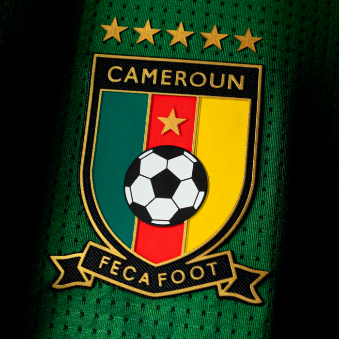 Cameroon 2025 Home Jersey - Fan Version - Image 3