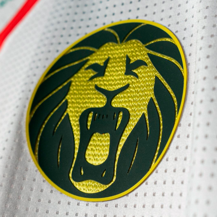 Cameroon 2025 Third Jersey - Fan Version - Image 3