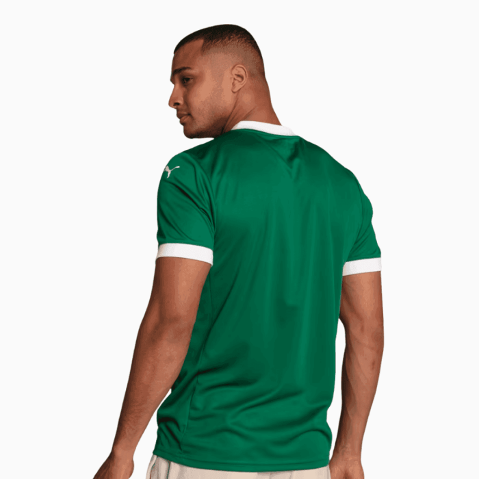 Palmeiras 2025/26 Home Jersey – Fan Version - Image 2