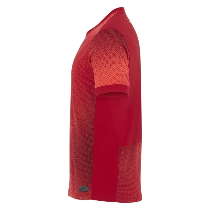 Poland 2024 Away Jersey - Fan Version - Image 4