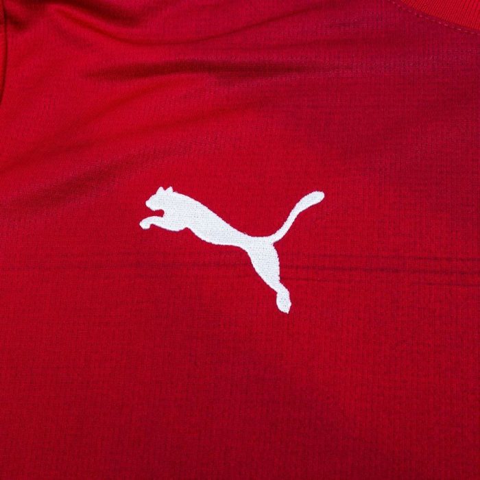 Serbia 2024 Home Jersey - Fan Version - Image 7