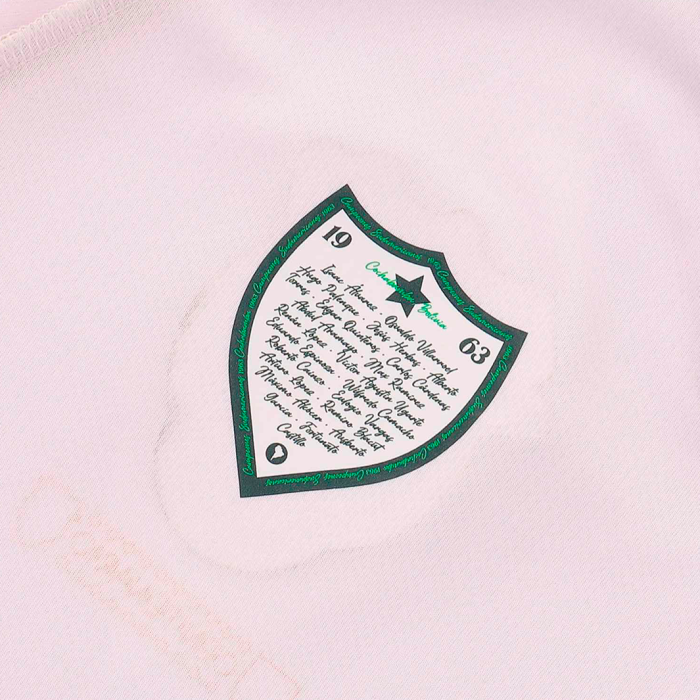 Bolivia 2025 Away Jersey - Fan Version - Image 6