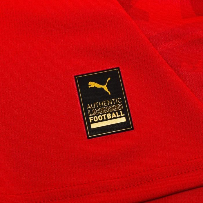Czech Republic 2024 Home Jersey - Fan Version - Image 5