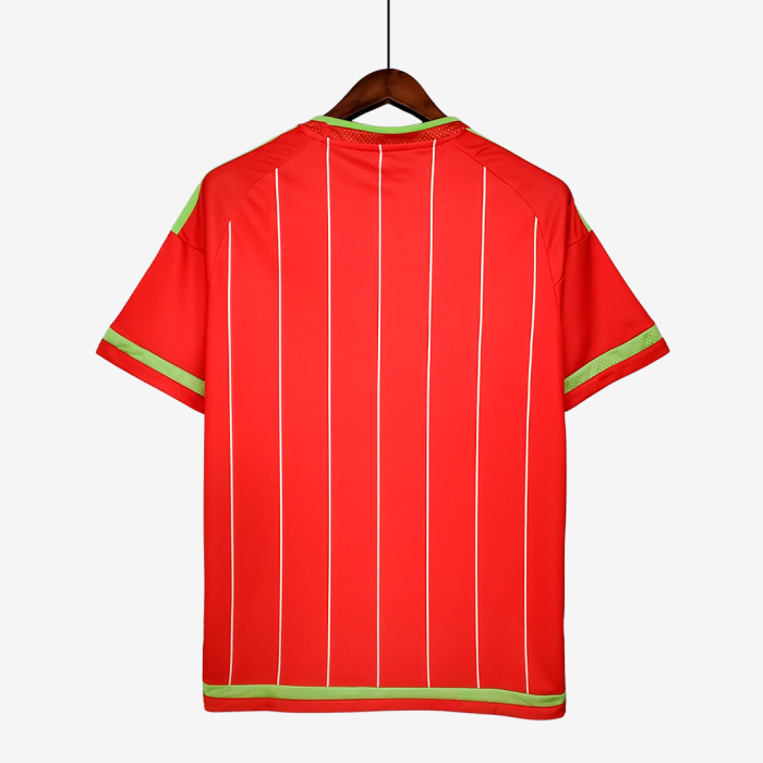 Wales 2015/16 Home Jersey – Retro Version - Image 7