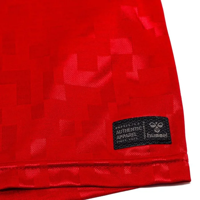 Denmark 2024 Home Jersey - Fan Version - Image 2