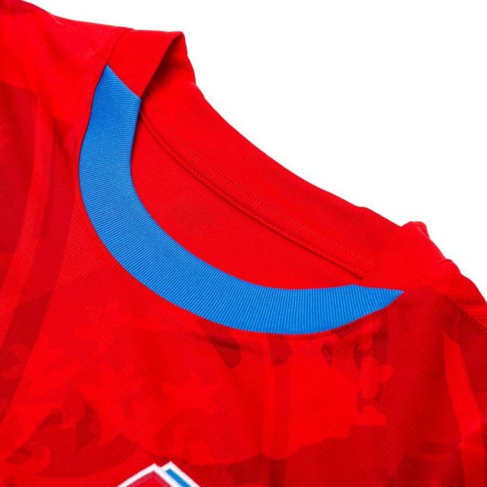 Czech Republic 2024 Home Jersey - Fan Version - Image 4