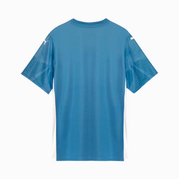 Palmeiras 2025/26 Home Goalkeeper Jersey – Fan Version - Image 6