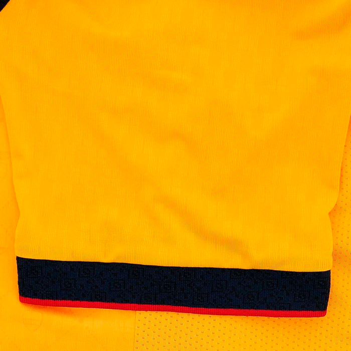 Ecuador 2025 Home Jersey Centenary - Fan Version - Image 5