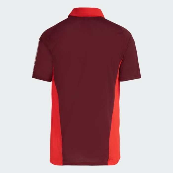 Internacional 2024/25 Staff Jersey - Fan Version - Image 4