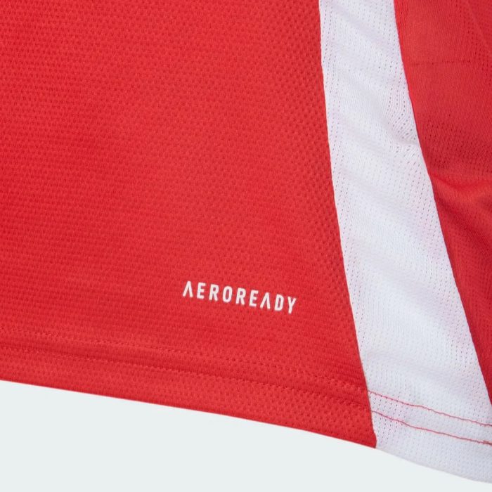 Internacional 2025/26 Home Jersey – Fan Version - Image 3