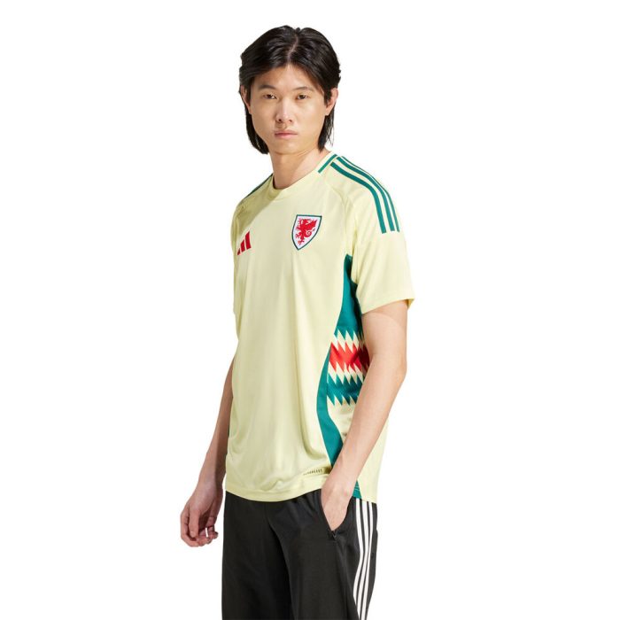 Wales 2024 Away Jersey - Fan Version - Image 4