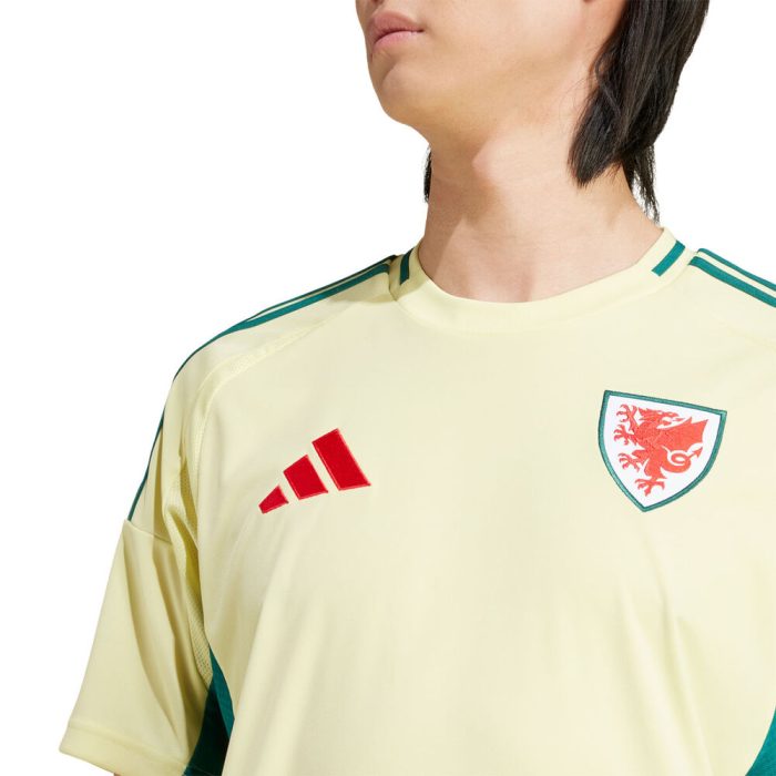 Wales 2024 Away Jersey - Fan Version - Image 2