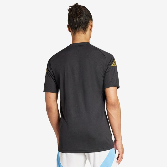 Argentina 2024/25 Pre-match Jersey - Fan Version - Image 2