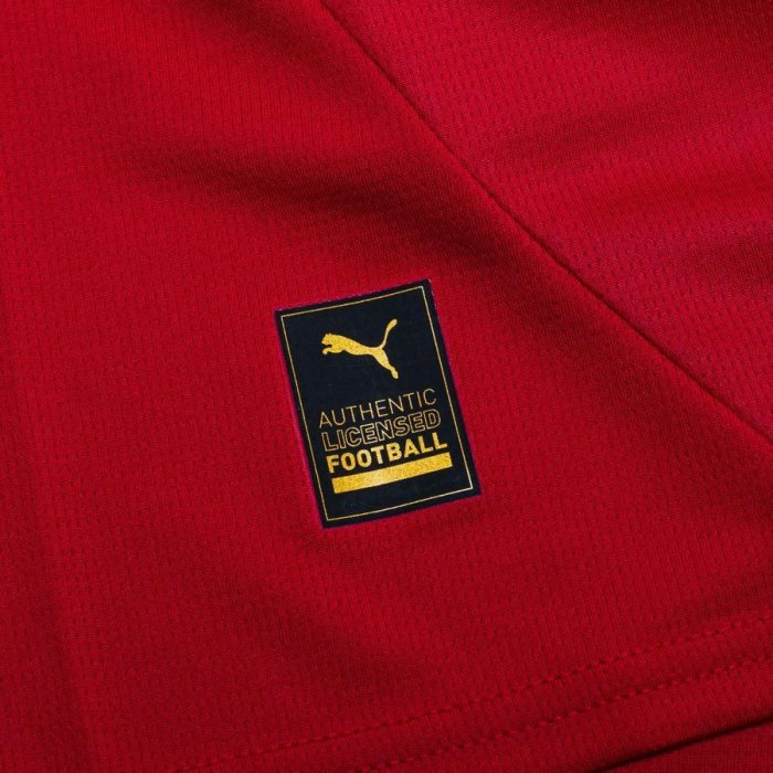 Serbia 2024 Home Jersey - Fan Version - Image 5