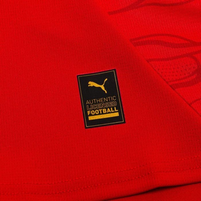 Austria 2024 Home Jersey - Fan Version - Image 6