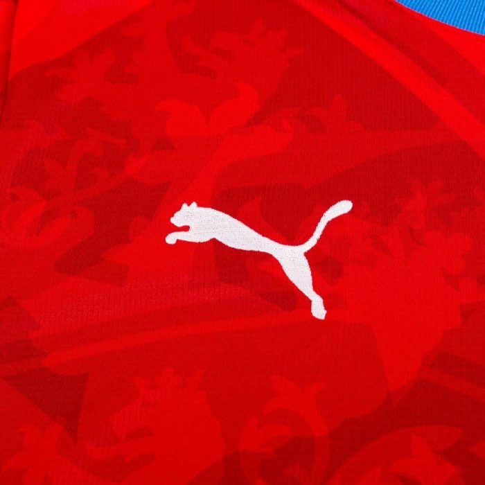 Czech Republic 2024 Home Jersey - Fan Version - Image 7