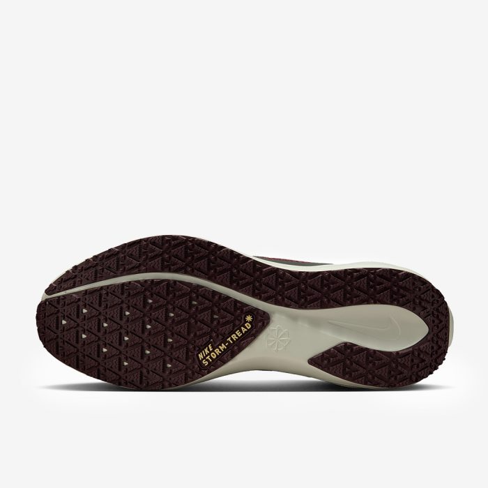 Nike Air Zoom Pegasus 41 Gore-Tex Light Pumice/Ashen Slate-Burgundy Crush - Image 5