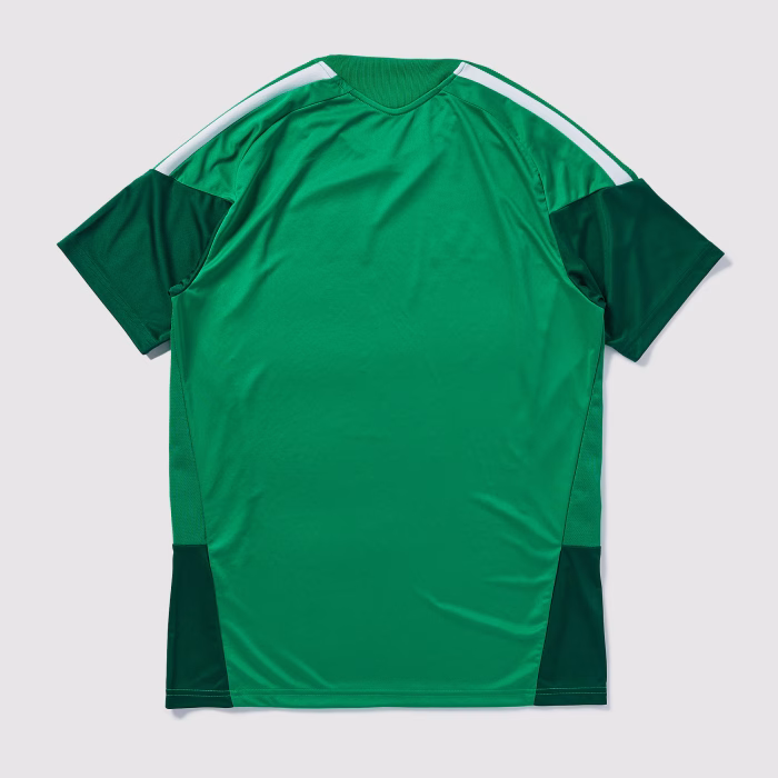 Algeria 2026 Training Jersey – Fan Version - Image 2