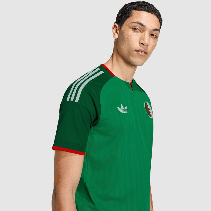 Algeria 2026 Away Jersey – Fan Version - Image 3