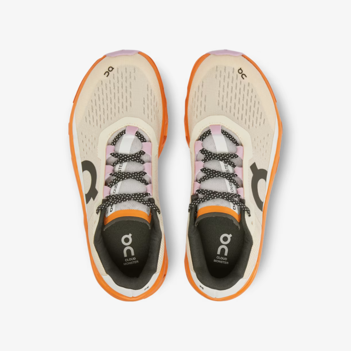 On Cloudmonster 1 - Image 5