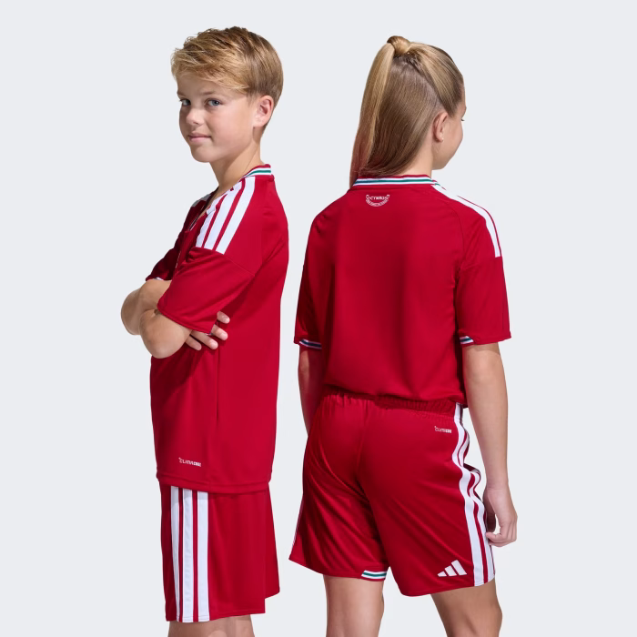 Wales 2026 Home - Kids Kit - Image 7